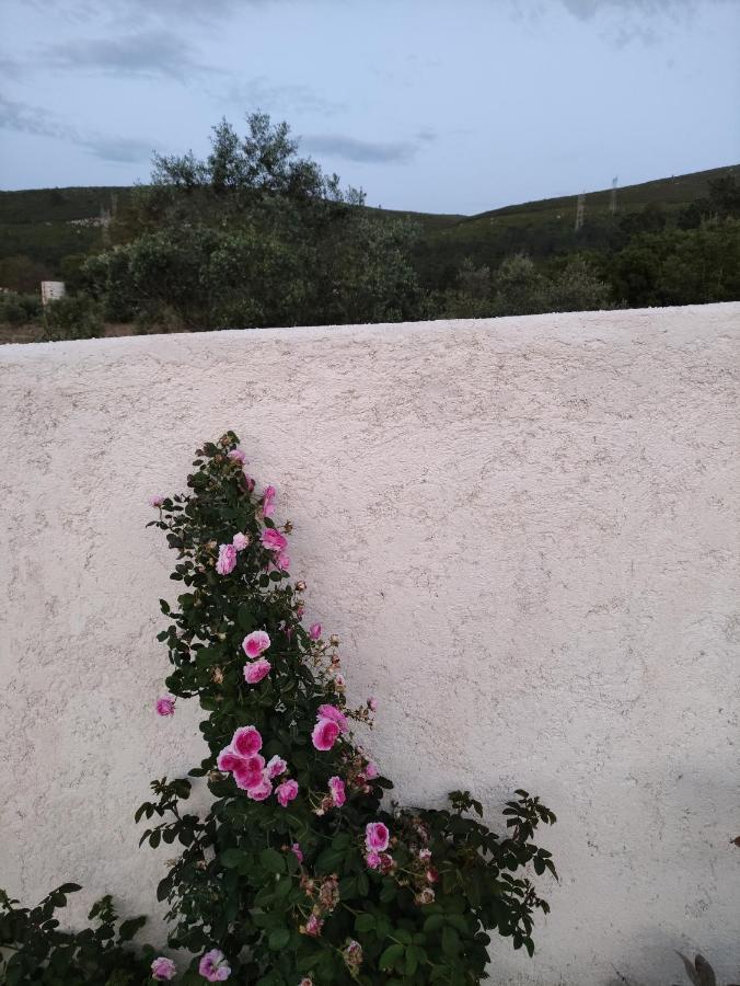 Casa Dos Vales 11 Villa Porto de Mós Dış mekan fotoğraf