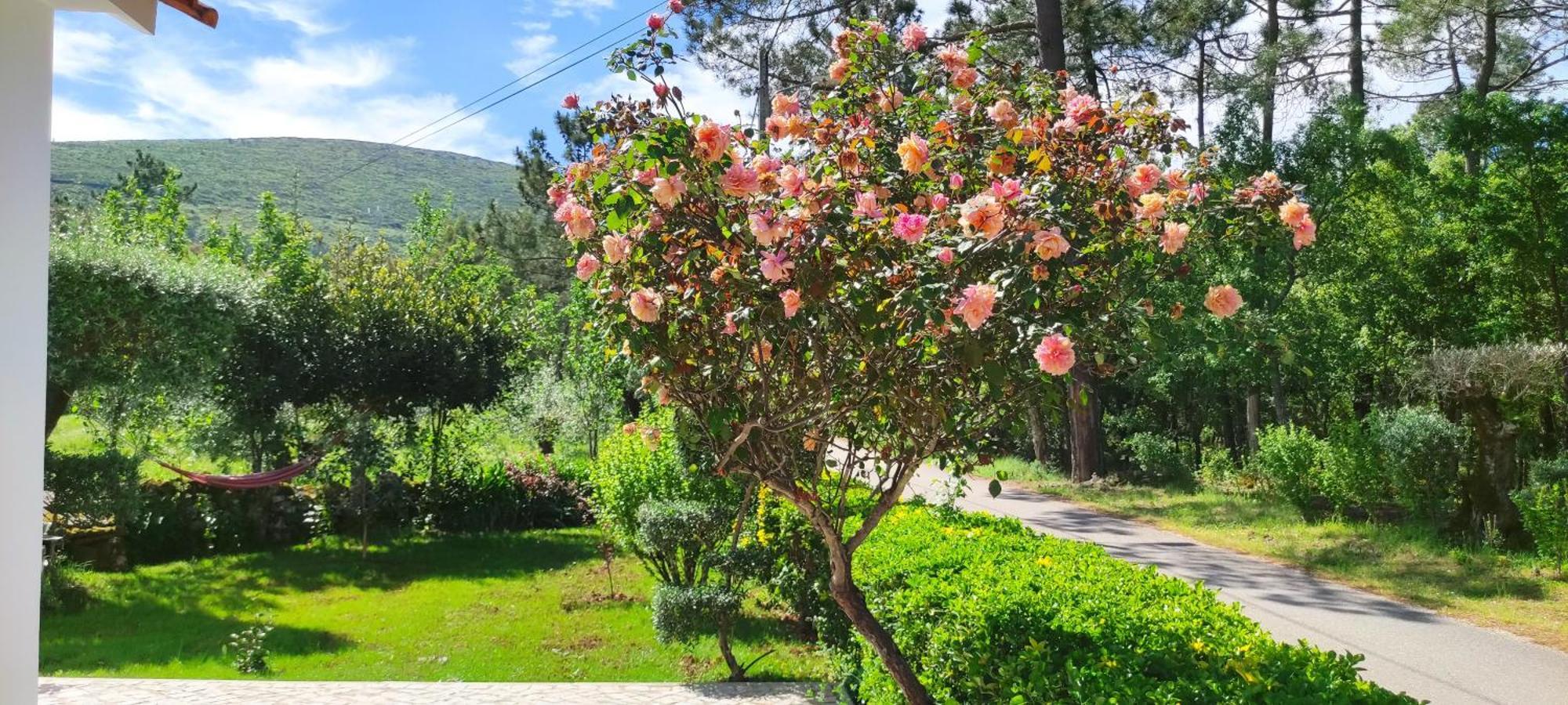 Casa Dos Vales 11 Villa Porto de Mós Dış mekan fotoğraf