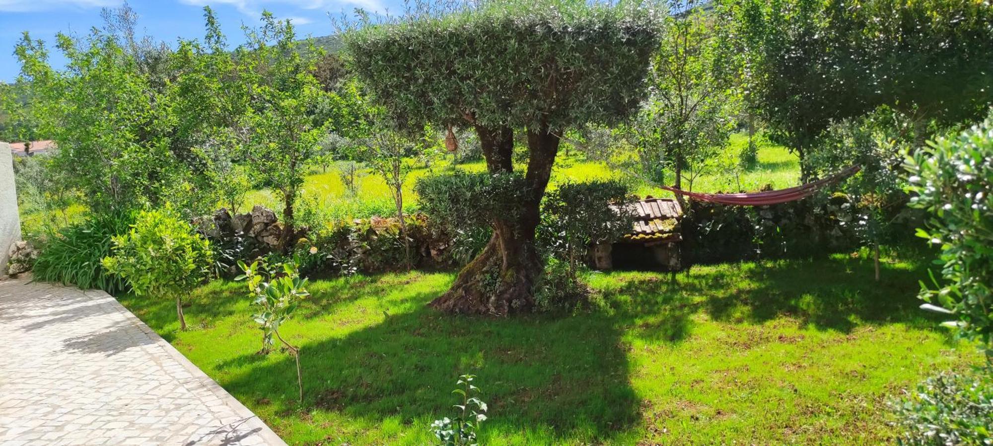 Casa Dos Vales 11 Villa Porto de Mós Dış mekan fotoğraf